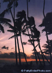 Hawaii, Oahu, Kapiolani Park, sunset, water